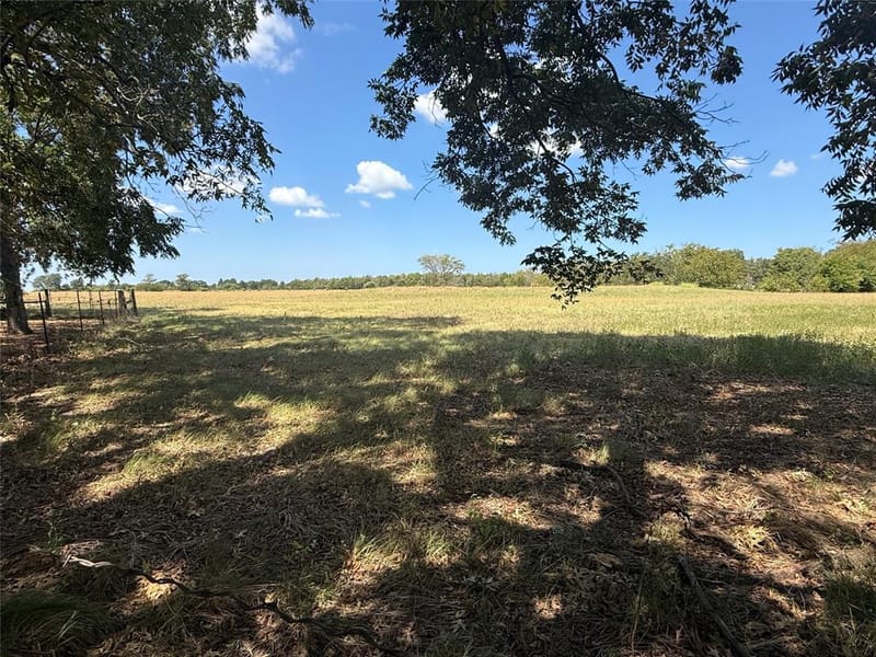 4411 Fm 100, Honey Grove TX 75446 - Photo 8