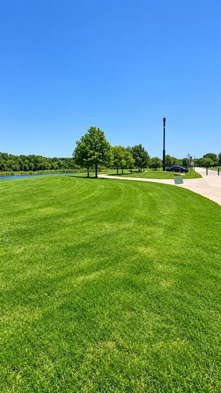204 Whitewing Lane, Murphy TX 75094 - Photo 27