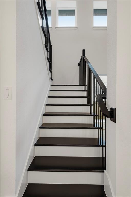 15593 Swallowtail Street, Frisco TX 75035 - Photo 20