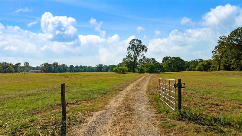 6517 County Road 45600, Blossom TX 75416 - Photo 2