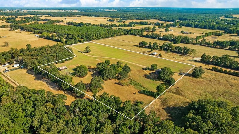6517 County Road 45600, Blossom TX 75416 - Photo 7