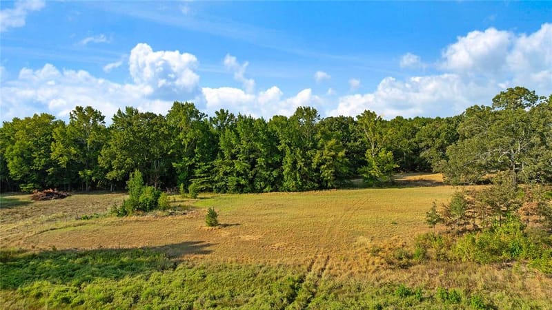6517 County Road 45600, Blossom TX 75416 - Photo 3
