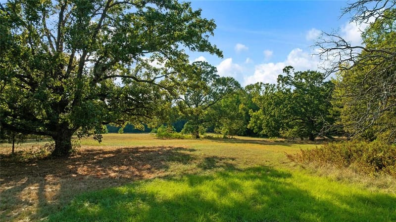6517 County Road 45600, Blossom TX 75416 - Photo 32