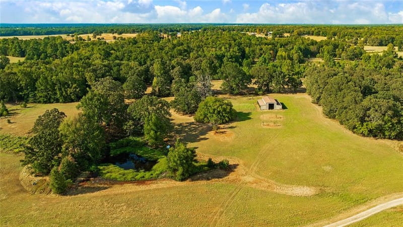 6517 County Road 45600, Blossom TX 75416 - Photo 9