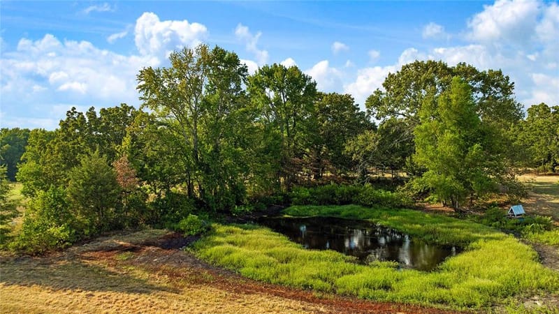 6517 County Road 45600, Blossom TX 75416 - Photo 34