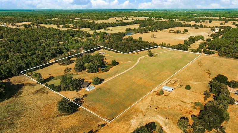 6517 County Road 45600, Blossom TX 75416 - Photo 8