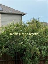 2209 Madison, Carrollton TX 75010 - Photo 37