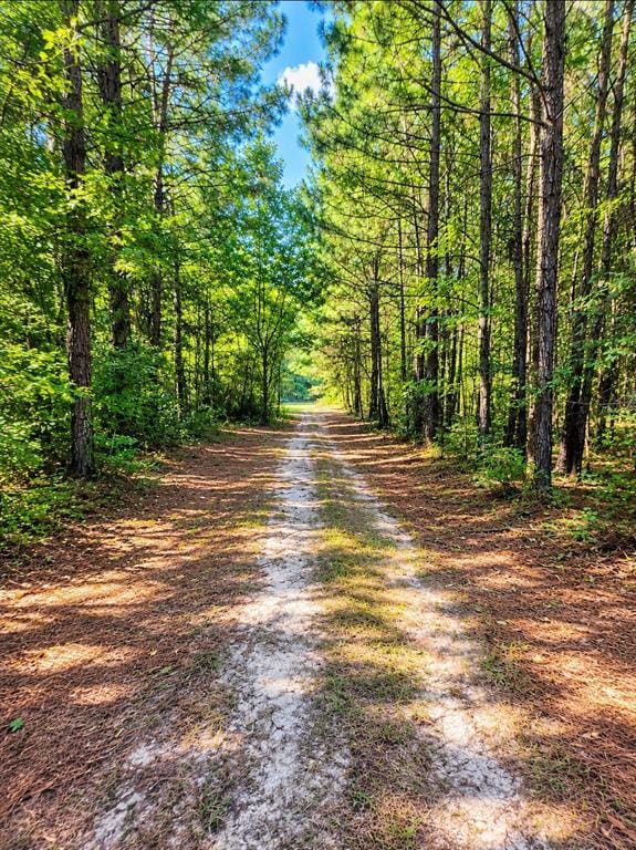 1330 Highway 163, Doyline LA 71023 - Photo 34