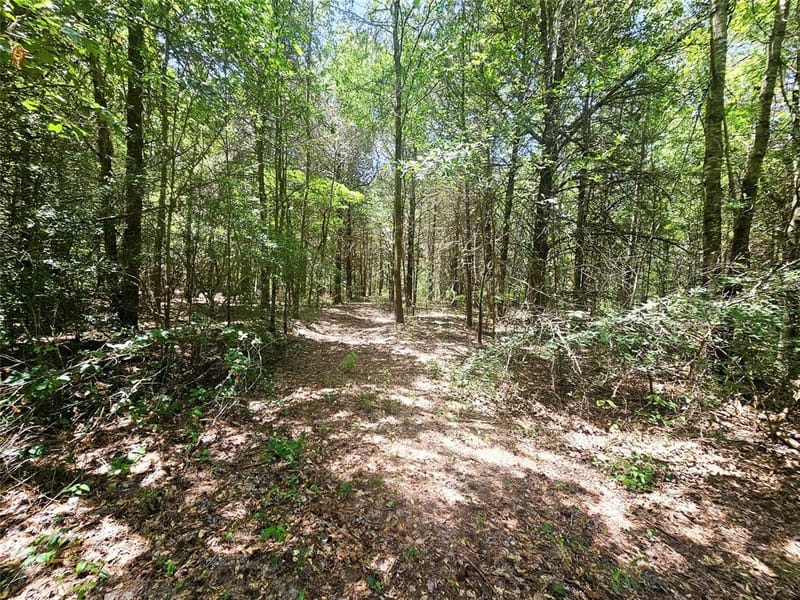 1115 County Road 3160, Quitman TX 75783 - Photo 27