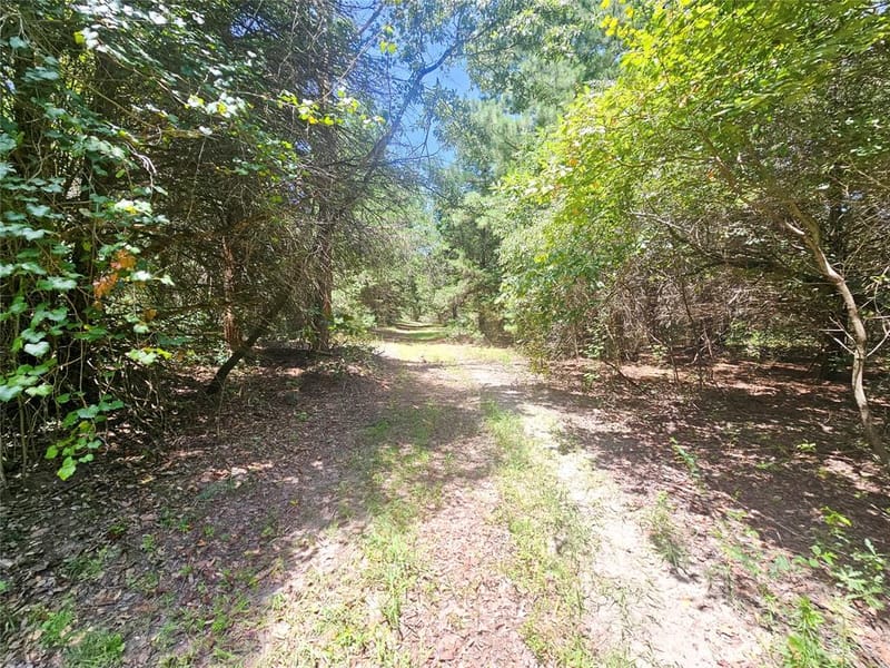 1115 County Road 3160, Quitman TX 75783 - Photo 26