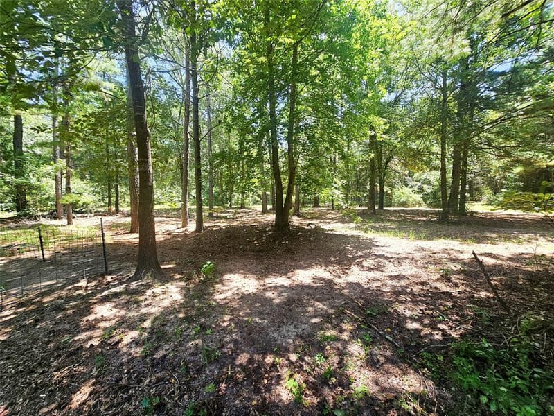 1115 County Road 3160, Quitman TX 75783 - Photo 30