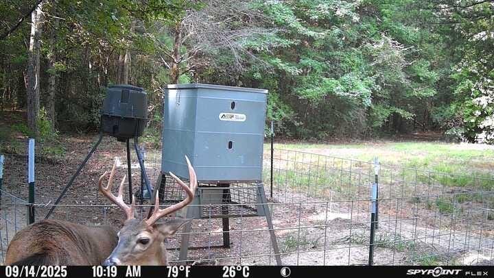 1115 County Road 3160, Quitman TX 75783 - Photo 34