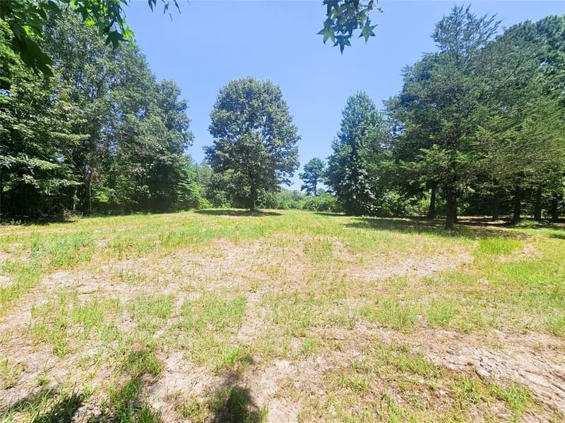 1115 County Road 3160, Quitman TX 75783 - Photo 31