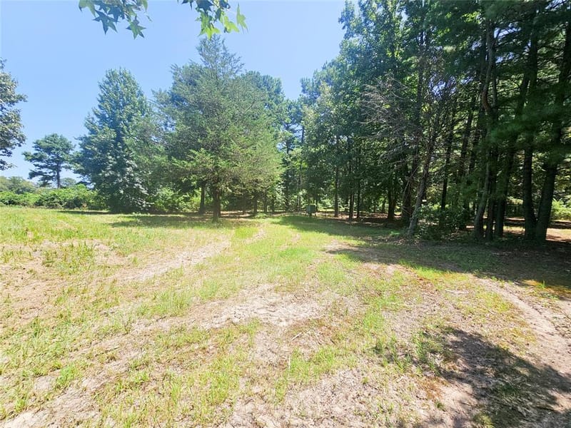 1115 County Road 3160, Quitman TX 75783 - Photo 29