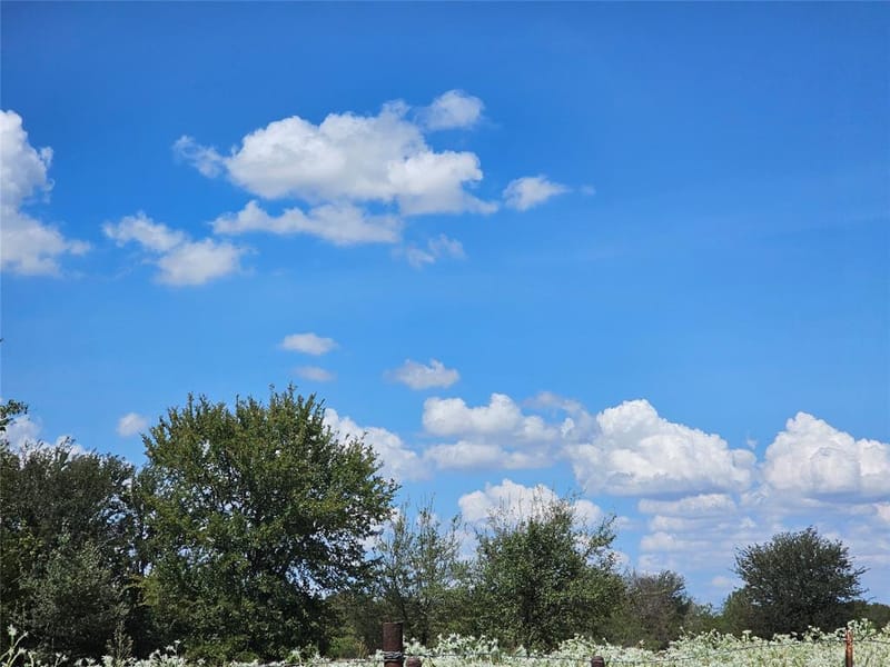 5921 County Road 3030, Corsicana TX 75109 - Photo 7
