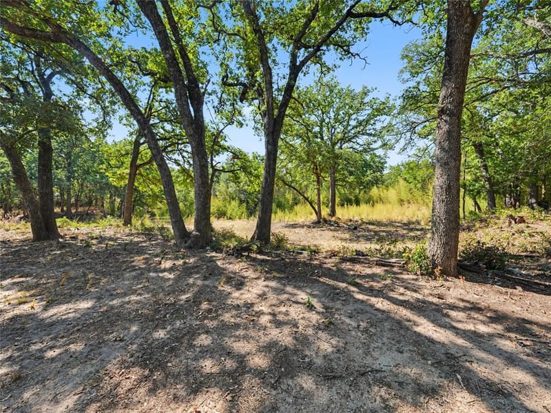 109 Summers Circle, Azle TX 76020 - Photo 28