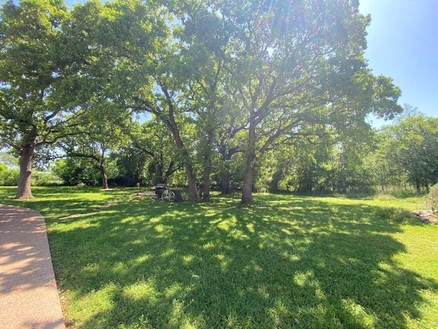 27160 Whispering Meadow Drive, Whitney TX 76692 - Photo 7