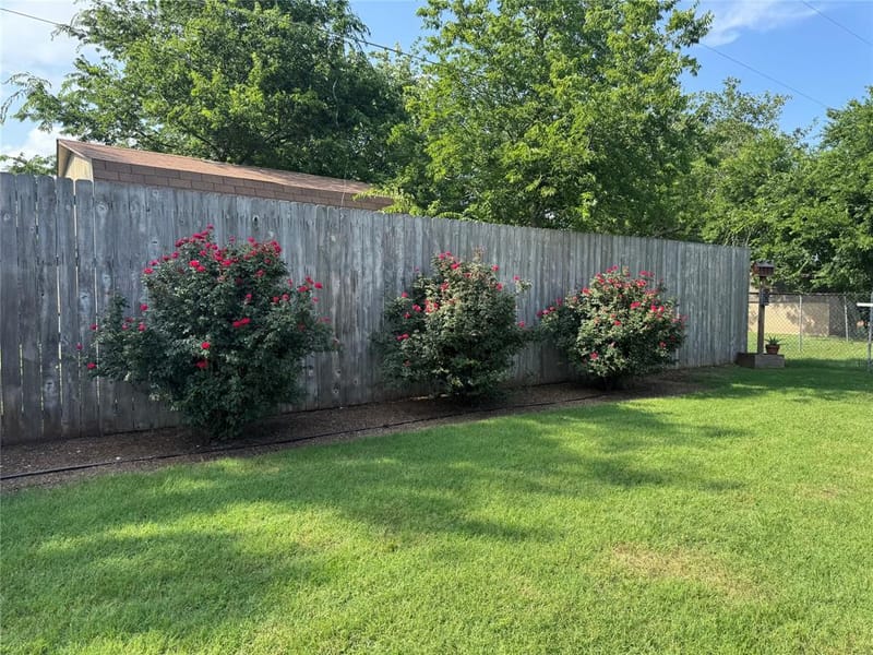 1204 Chester Street, Cleburne TX 76033 - Photo 29
