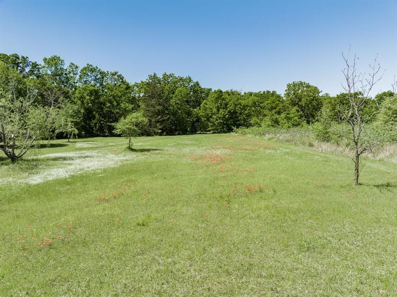 1830 FM 288, Quitman TX 75783 - Photo 32