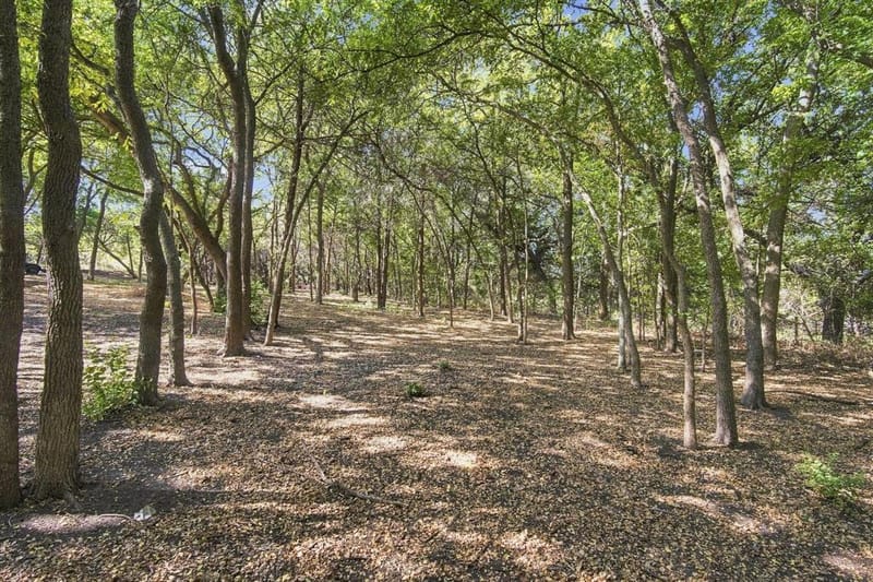 4031 Morgans Way, Midlothian TX 76065 - Photo 29