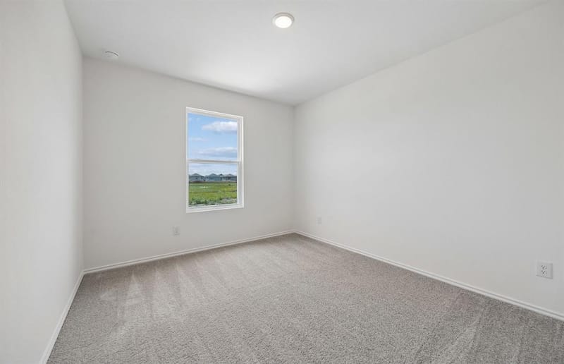 2529 Cashel Cove, Princeton TX 75407 - Photo 16
