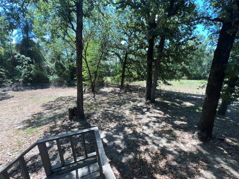 863 Vz County Road 1213, Canton TX 75103 - Photo 35