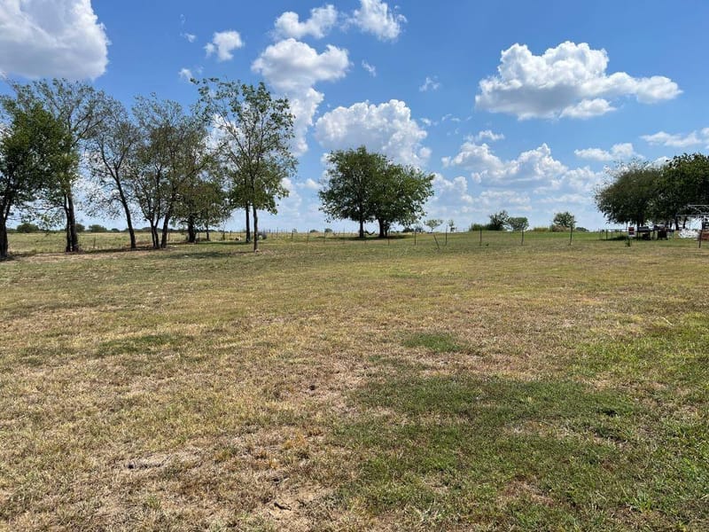 611 E Broadmore Avenue, Wills Point TX 75169 - Photo 3