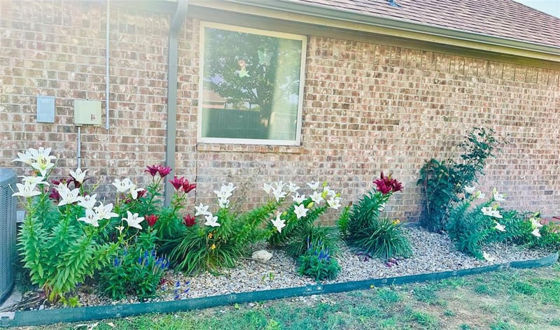 1236 Woodbridge Court, Willow Park TX 76087 - Photo 4
