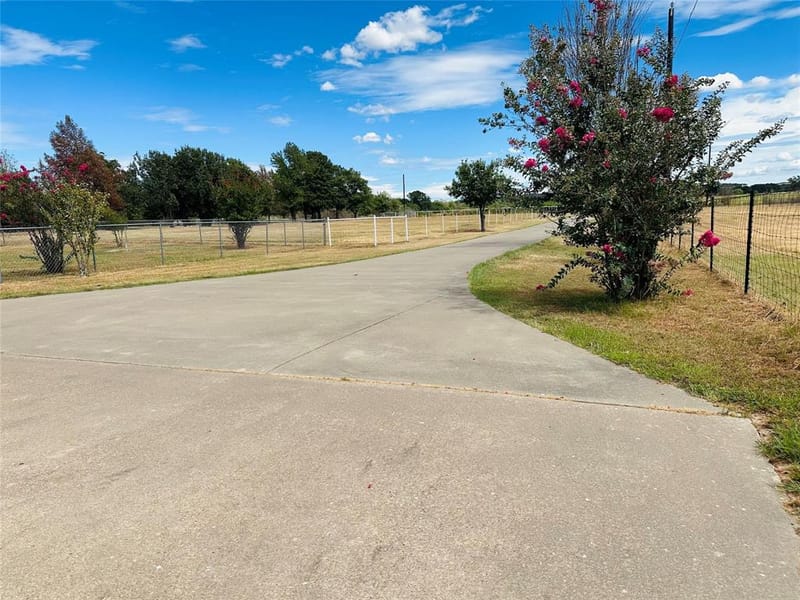 14203 County Road 2900, Eustace TX 75124 - Photo 6