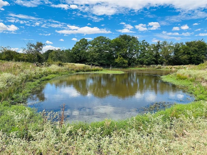 14203 County Road 2900, Eustace TX 75124 - Photo 10