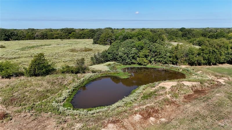 14203 County Road 2900, Eustace TX 75124 - Photo 8