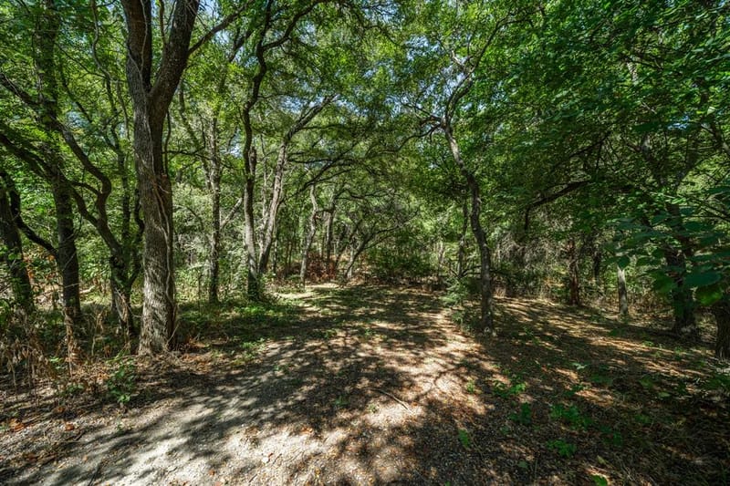 275 Hill County Road 4431, Itasca TX 76055 - Photo 30