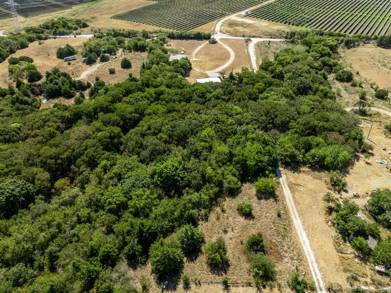 275 Hill County Road 4431, Itasca TX 76055 - Photo 34