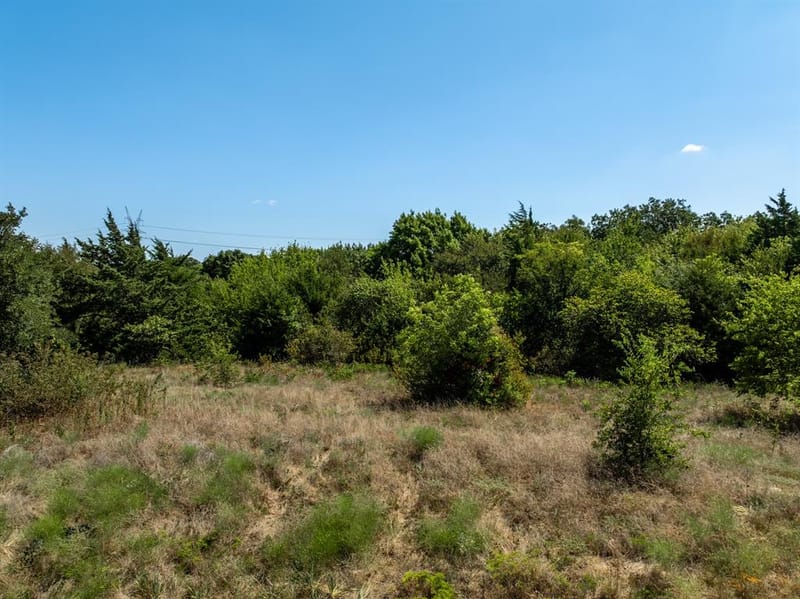 275 Hill County Road 4431, Itasca TX 76055 - Photo 29
