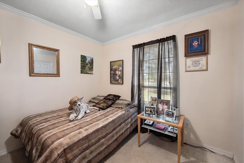 649 E Reindeer Road, Lancaster TX 75146 - Photo 13
