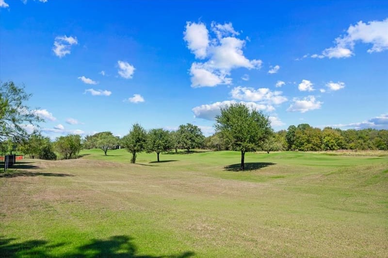 27207 Meadowmore Drive, Whitney TX 76692 - Photo 29