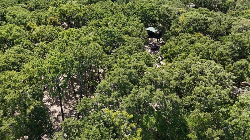 9972 County Road 2434, Terrell TX 75160 - Photo 5