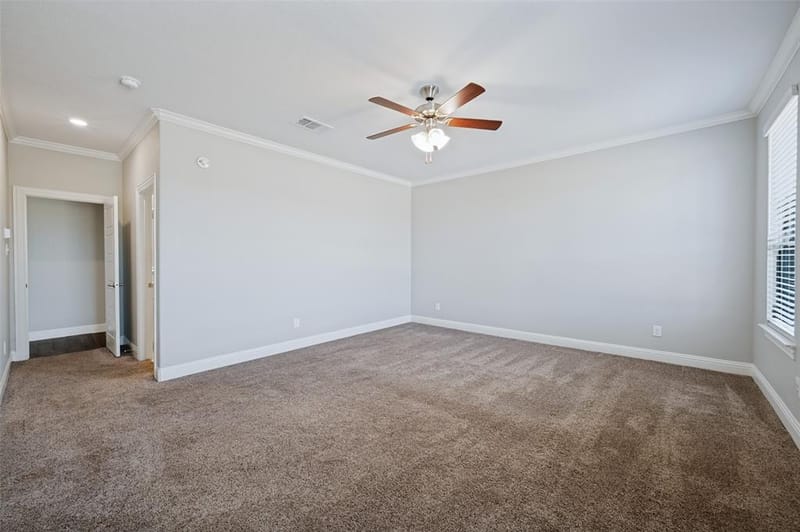 3609 Cimarron River Drive, Celina TX 75078 - Photo 17