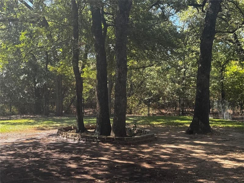 568 County Road 1771, Chico TX 76431 - Photo 34