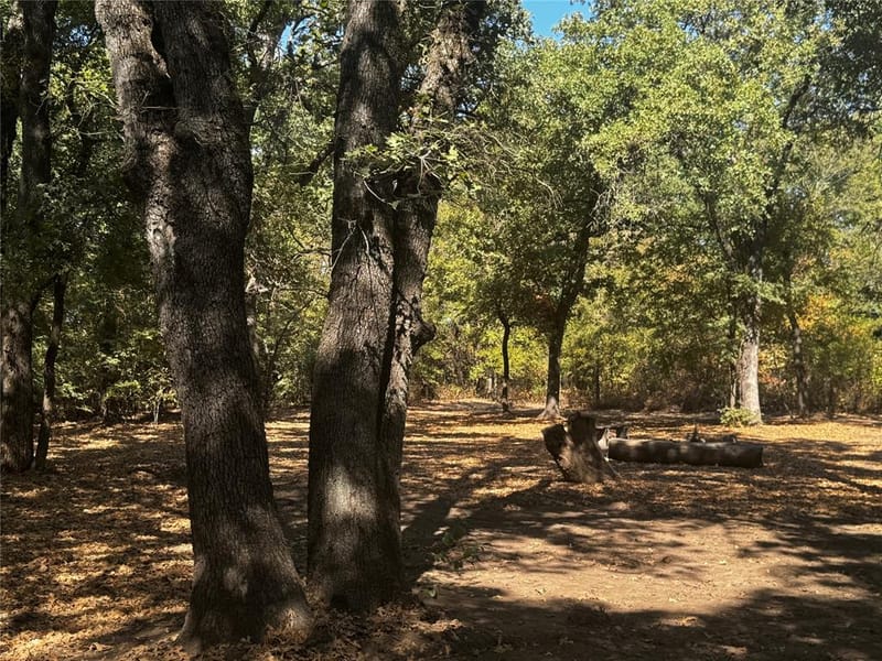 568 County Road 1771, Chico TX 76431 - Photo 35