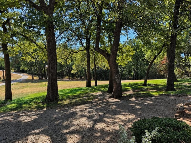 568 County Road 1771, Chico TX 76431 - Photo 4