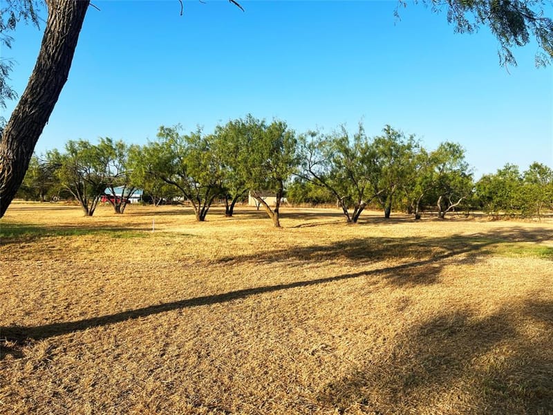 1010 County Road 136a, Terrell TX 75161 - Photo 20