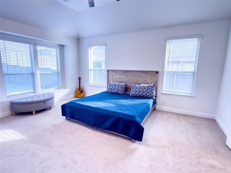 7212 Bird Cherry Lane, Little Elm TX 76227 - Photo 15