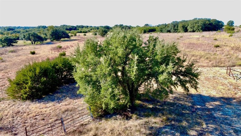 5254 Honey Creek Pass, Hico TX 76457 - Photo 32
