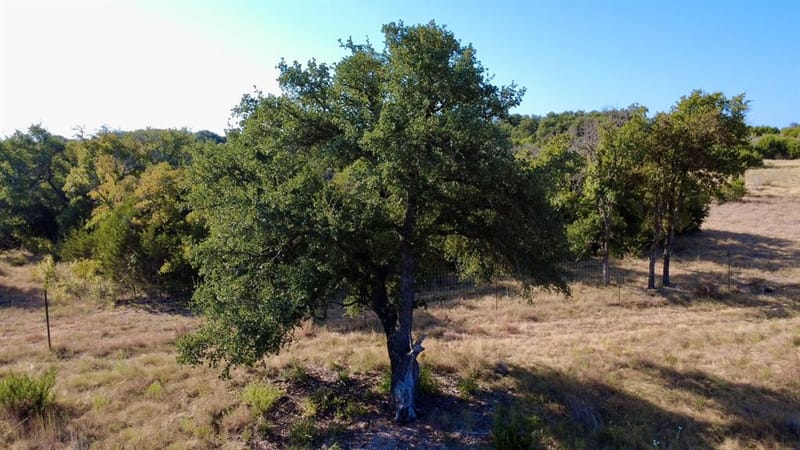 5254 Honey Creek Pass, Hico TX 76457 - Photo 34