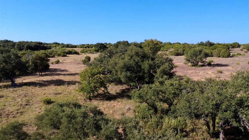 5254 Honey Creek Pass, Hico TX 76457 - Photo 33