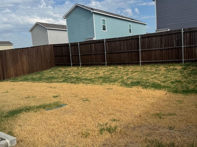 156 Boxberry Way, Princeton TX 75407 - Photo 30