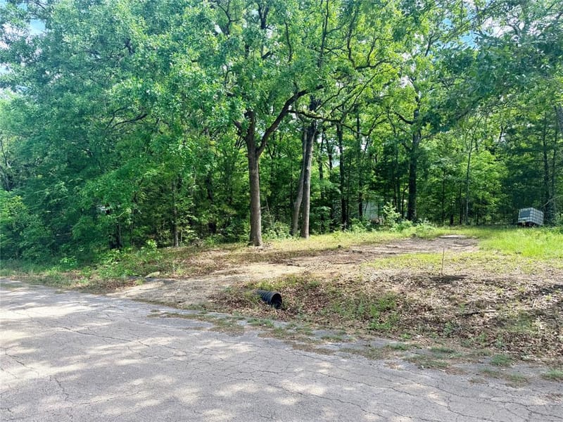 7137 Cayuga Drive, Mabank TX 75156 - Photo 12