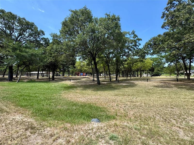 7137 Cayuga Drive, Mabank TX 75156 - Photo 19