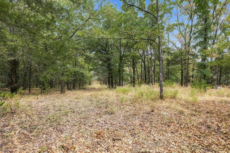 710 Rio Roxo Road, Gordonville TX 76245 - Photo 36